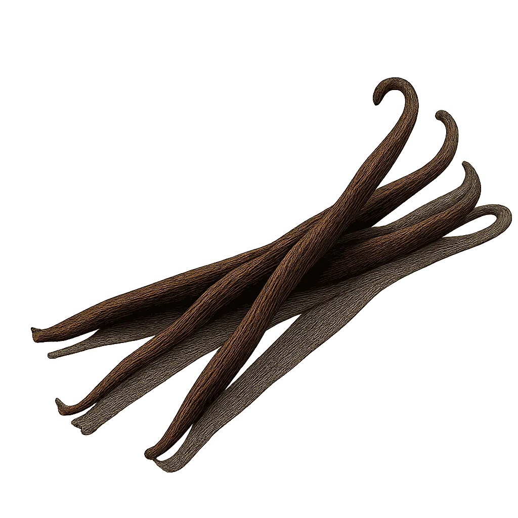 Vanilla bean